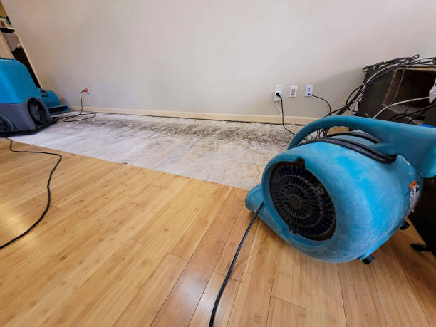 Professional Water Damage Repair technician working in Plymouth, OH